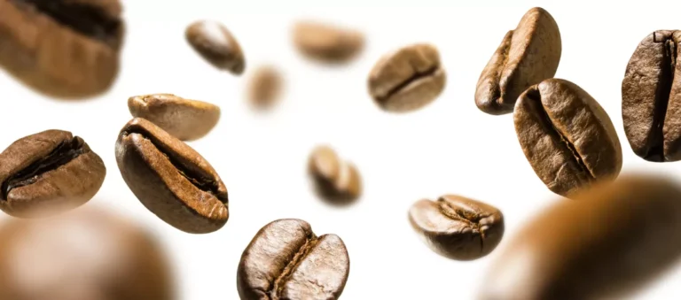 Chicci di caffè arabica e robusta che volano su sfondo bianco